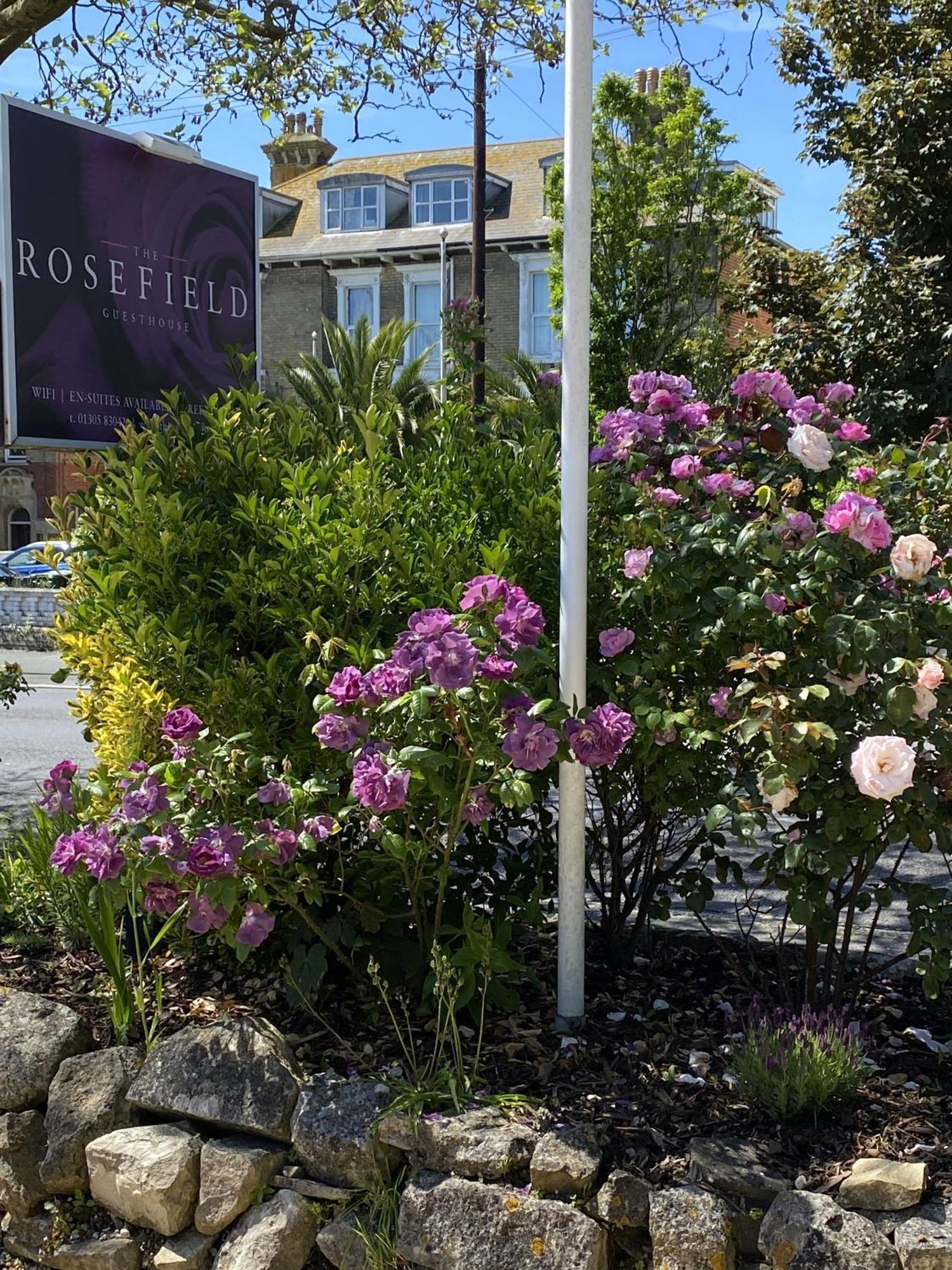Hotel The Rosefield à Weymouth Extérieur photo